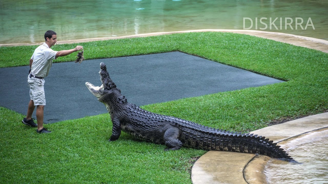 🦎 체감형 동물원 iZoo(이즈) 이미지 8